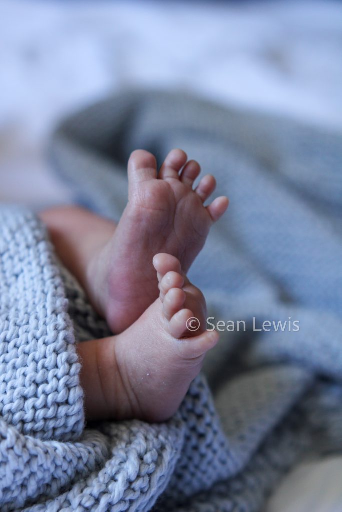 Close-up detail shot of a newborn baby's feet wrapped in a blue blanket during an Edmonton newborn session.