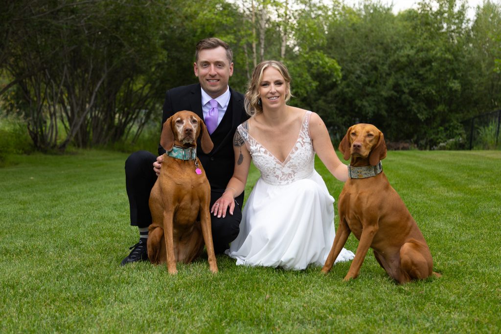 Bride and groom posing with their two dogs during an outdoor wedding photo session.